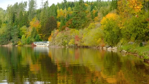 Yellow autumn trees reflected in calm lake water 스톡 동영상 319079236