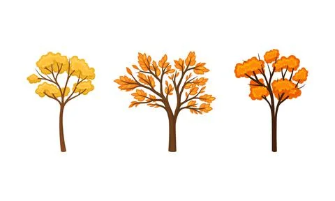 Yellow autumn trees set. Fall tree for garden, park and forest landscape design Stock Illustration