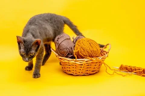 On a yellow background is a basket with woolen threads for knitting, started  Stock Photos