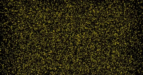 Yellow background with falling bokeh lights of shining shiny moving Stock Footage 163611166