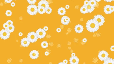 Yellow background with flowers Stock Footage 87371564