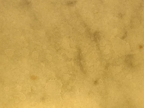 Yellow background Stock Photos