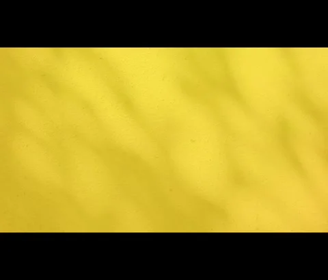 Yellow background shadow leaves pastel brown abstract backdrop summer Stock-Footage 331941141