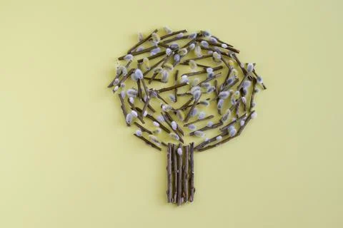 On a yellow background willow tree, lined with branches. Easter concept card. Stock Photos