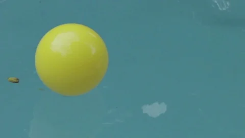Yellow ball in the pool 스톡 동영상 84806444