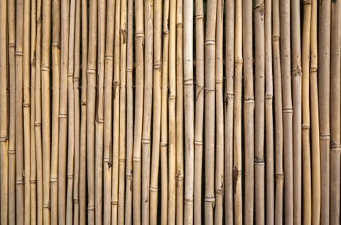 Yellow bamboo wall background Stock Photos