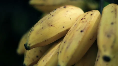 Yellow bananas Vídeos de archivo 35687567