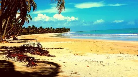 Yellow beach Stock Photos