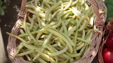 Yellow bean pods, tomatoes and red bell peppers harvest in wicker baskets Stock Footage 72838910