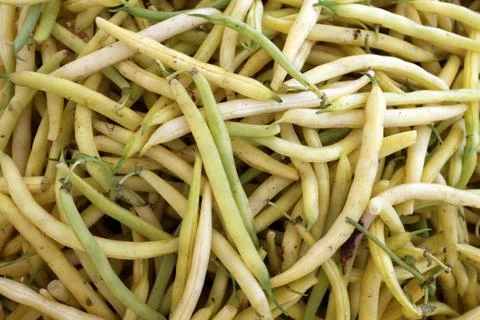 Yellow beans Stock Photos