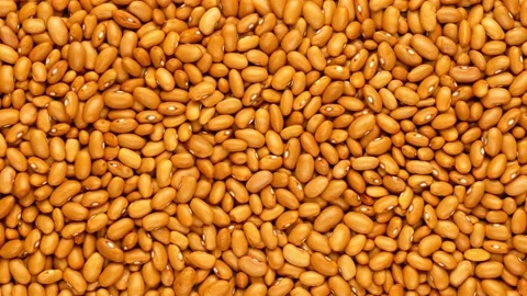 Yellow beans, top view. Beans - background. Stock Footage 139758153