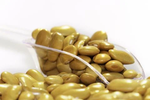 Yellow Beans in a white background Stock Photos