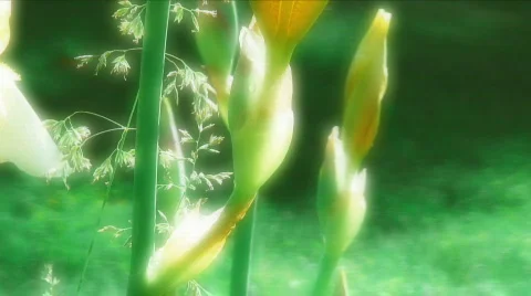 Yellow Beauty Stock Footage