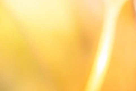 Yellow bed linen gradient texture blurred curve style of abstract luxury fa.. Stock Photos