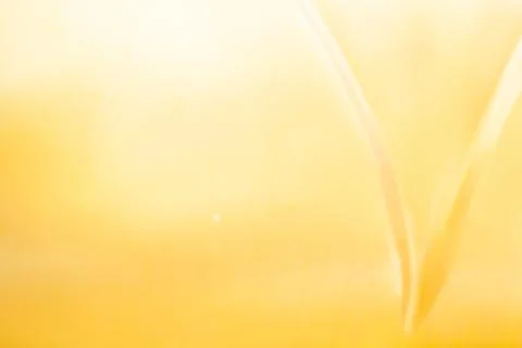 Yellow bed linen gradient texture blurred curve style of abstract luxury fa.. Stock Photos