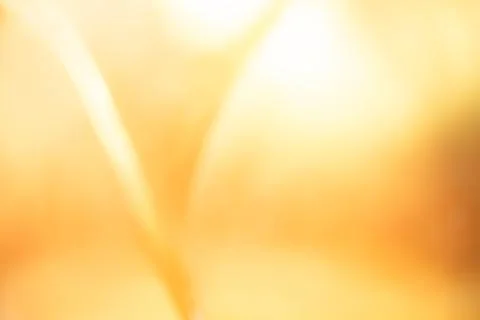 Yellow bed linen gradient texture blurred curve style of abstract luxury fa.. Stock Photos