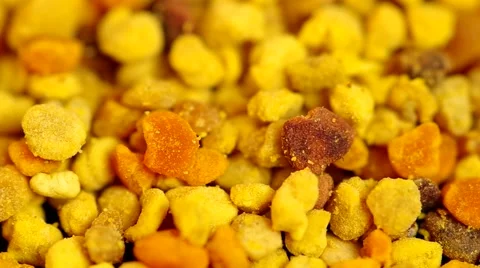 Yellow bee pollen Stock Footage 45588592
