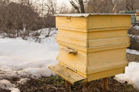 Yellow beehive after winter. Processing and feeding of bees. Agriculture conc Stock Photos