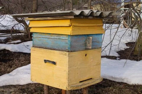 Yellow beehive after winter. Processing and feeding of bees. Agriculture conc Stock Photos