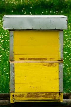 Yellow beehive from the back Stock-Fotos