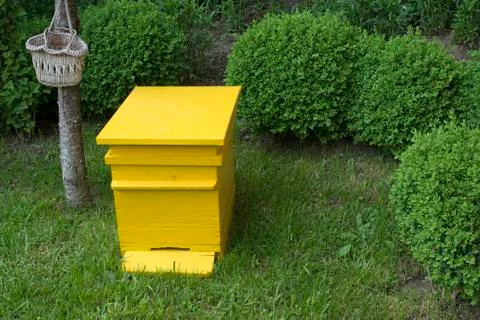 Yellow beehive Stock Photos