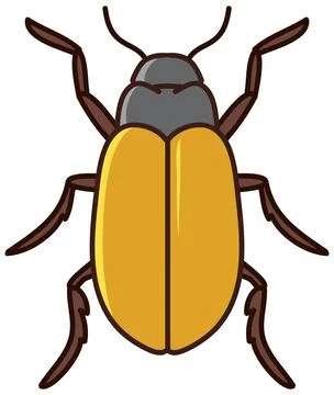 Yellow Beetle Insect Vector Illustration Overhead View イラスト素材