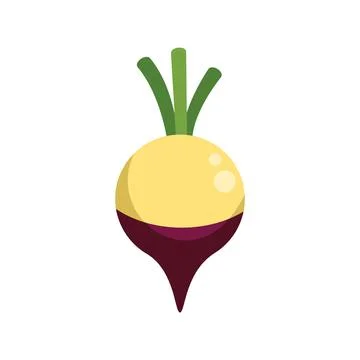 Yellow beetroot growing with green leaves illustration Stock Illustration