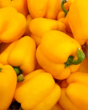 Yellow Bell Pepper background Stock Photos