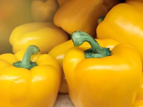 Yellow bell pepper Stock Photos