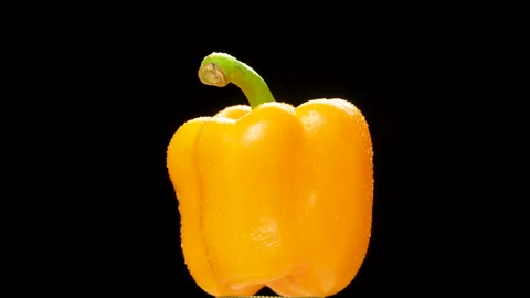 Yellow Bell Pepper Rotating On Black Background With Water Drops Stock Footage 325567513