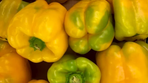 Yellow bell peppers arranged in boxes Stock Footage 279852739