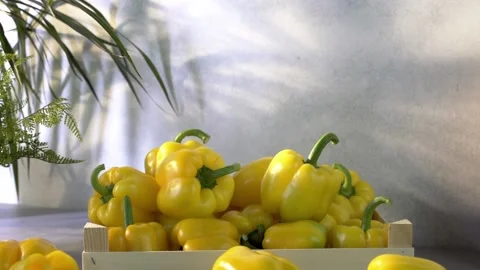 Yellow bell peppers composition in a table Stock Footage 132603192