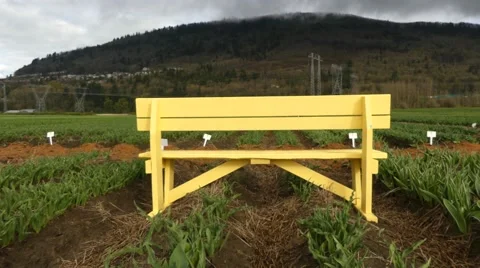 Yellow bench, green field, mountains Stock Footage 61675232