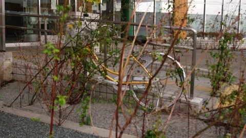 Yellow Bicycle Parked Behind Overgrown Bushes at Building Entrance Vídeos de archivo 336601357