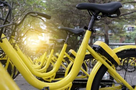 Yellow bikes lined together Stock Photos