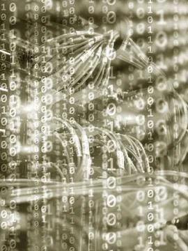 Yellow binary code background. computer data transfer concept. Stock Photos