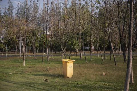 Yellow bins Stock Photos