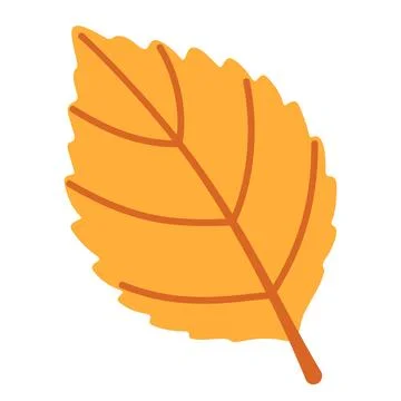 Yellow Birch Leaf Isolated Vector Element Flat Style Icon Stock Illustration