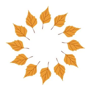 Yellow birch leaves circular frame isolated on white background Stock Illustration
