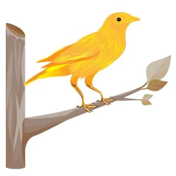 Yellow bird on branch vector design Stock Illustration