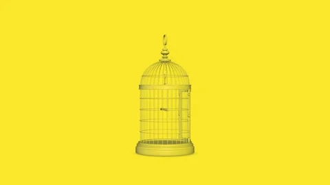 Yellow Birdcages Video stock 145762673