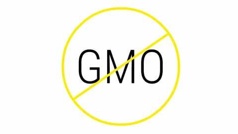 Yellow black gmo white Stock Footage 201212455
