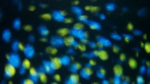 Yellow Blue Dots Stock-Footage 11692849