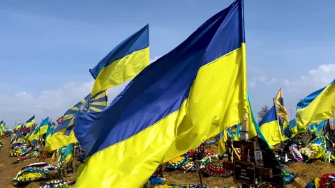 Yellow-blue flags of Ukraine fly over graves in the cemetery with dead soldiers Stock Footage 237988693