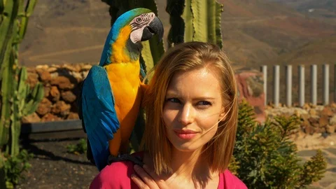 Yellow-Blue Parrot Sits on Blonde Models Shoulder on a Sunny Day Video stock 111340153