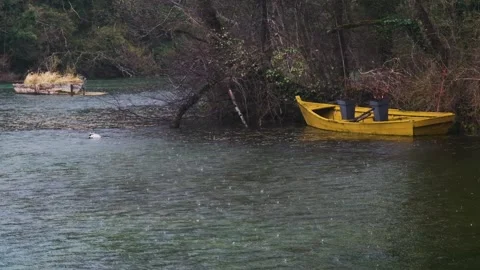 Yellow boat Stock-Footage 221677304