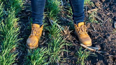 Yellow boot Stock Photos