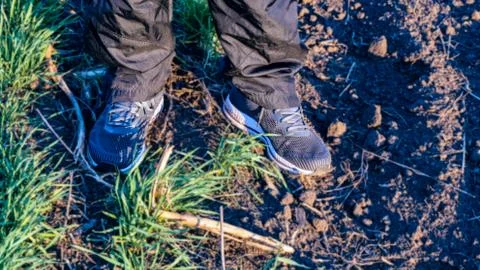 Yellow boot Stock Photos