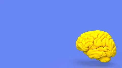 The yellow Brain for sci or education concept 3d rendering. Stock Illustration