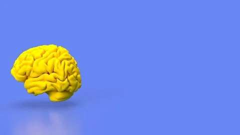 The yellow Brain for sci or education concept 3d rendering. Stock Illustration